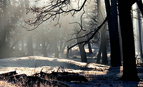 華宇光電,昆明網(wǎng)站建設(shè)，昆明網(wǎng)站設(shè)計，昆明網(wǎng)站制作,昆明網(wǎng)站建設(shè),云南網(wǎng)站建設(shè),昆明網(wǎng)站設(shè)計,云南網(wǎng)站設(shè)計,昆明網(wǎng)站制作,云南網(wǎng)站制作,商城網(wǎng)站建設(shè),政府網(wǎng)站建設(shè),集團網(wǎng)站建設(shè),電商平臺建設(shè),高端網(wǎng)站建設(shè),微網(wǎng)站建設(shè)