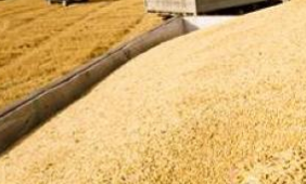 昆明網(wǎng)站建設(shè)|云南網(wǎng)站建設(shè)|昆明網(wǎng)站設(shè)計(jì)|昆明網(wǎng)站制作|云南網(wǎng)站,昆明網(wǎng)站建設(shè),云南網(wǎng)站建設(shè),昆明網(wǎng)站設(shè)計(jì),云南網(wǎng)站設(shè)計(jì),昆明網(wǎng)站制作,云南網(wǎng)站制作,商城網(wǎng)站建設(shè),政府網(wǎng)站建設(shè),集團(tuán)網(wǎng)站建設(shè),電商平臺建設(shè),高端網(wǎng)站建設(shè),微網(wǎng)站建設(shè)