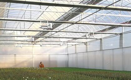 昆明網(wǎng)站建設(shè)|云南網(wǎng)站建設(shè)|昆明網(wǎng)站設(shè)計|昆明網(wǎng)站制作|云南網(wǎng)站制作|云南網(wǎng)站設(shè)計|承錦科技,昆明網(wǎng)站建設(shè),云南網(wǎng)站建設(shè),昆明網(wǎng)站設(shè)計,云南網(wǎng)站設(shè)計,昆明網(wǎng)站制作,云南網(wǎng)站制作,商城網(wǎng)站建設(shè),政府網(wǎng)站建設(shè),集團(tuán)網(wǎng)站建設(shè),電商平臺建設(shè),高端網(wǎng)站建設(shè),微網(wǎng)站建設(shè)